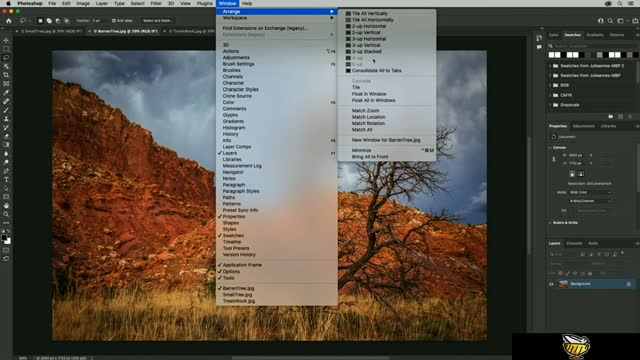 Working with multiple documents
