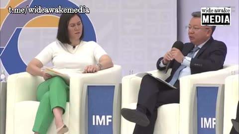 IMF, Bo Li, admits that countries are required to enforce climate policies