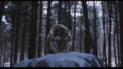 🐯 Tiger king 👑 -- i'm rider -- Imran Khan song satisfya -- USE HEADPHONES 🎧_Cut