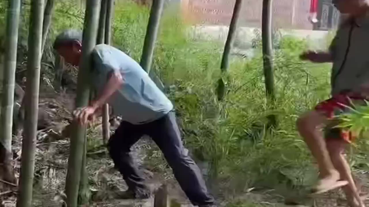 Best funny video2