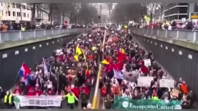 LA MAFIA ASSOCIÉE, MÉDIAS, POLICE, ANTIFAS LE COCKTAIL PARFAIT DU CHAOS ORGANISÉ !!!