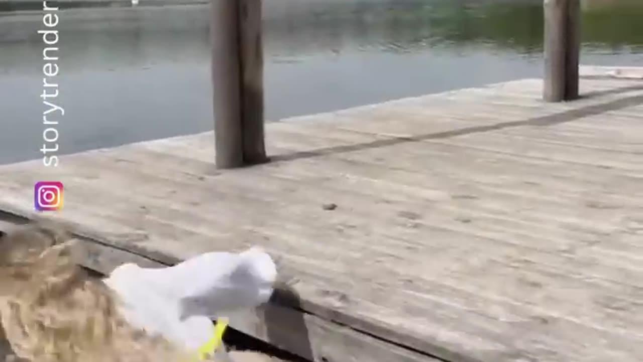 Stop mouth washing the beer 😂😂😂 #funny #viral #shorts #funnyvideos #trustedhumor
