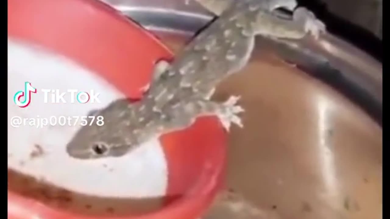 must cover all items in kitchen