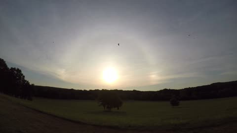 Sun ☀ Rise 7 11 23 66f/19c