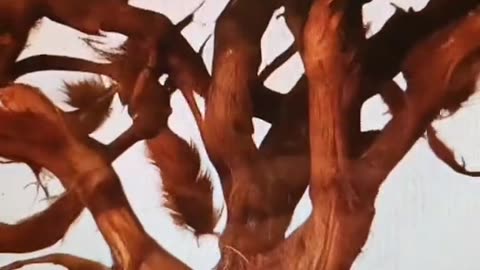 It is all you song