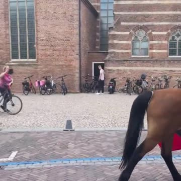 Horse breeders join the protest of Dutch farmers.