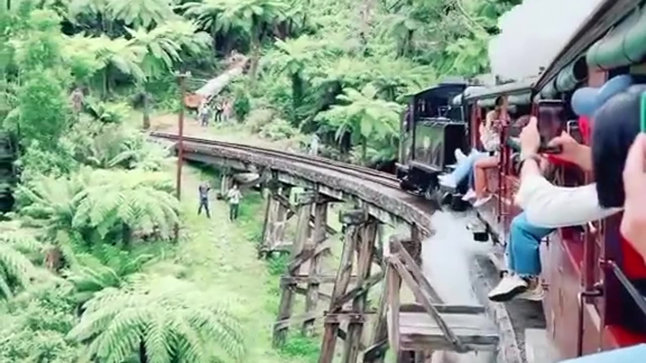 "Riding the Rails: A Breathtaking View of Trains Crossing Beautiful Seascapes"