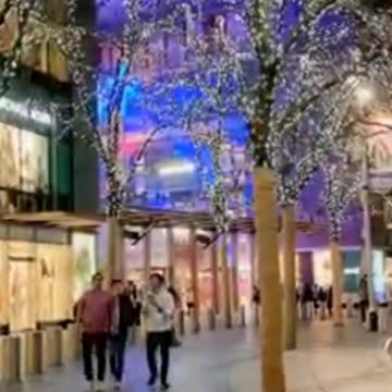 Merry Christmas 2022, american Christmas, Canada Christmas , Christmas tree 🌲