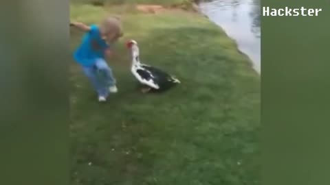 Funny Animals Scarring And Chasing People