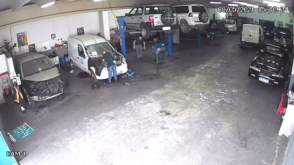 Mechanic Picks Up Chased Pet