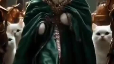 Cat rani