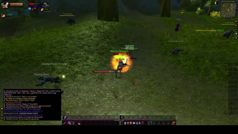 Turtle wow - HC high elf warrior - High elf starting zone questing