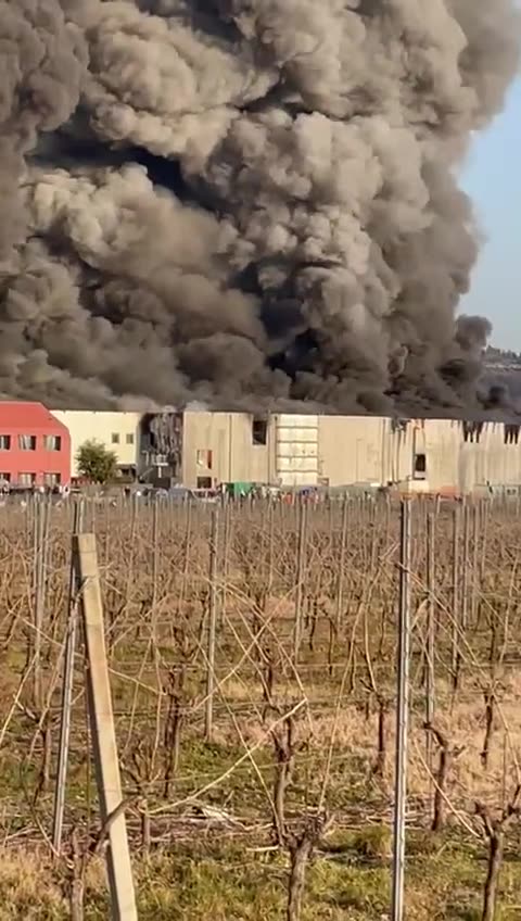 Salumificio Coati, Verona Italy: The 10th TOXIC Chemicals Released... #VishusTv 📺