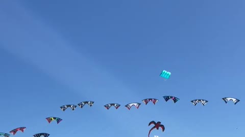 Kite festival in Lincoln City, Oregon