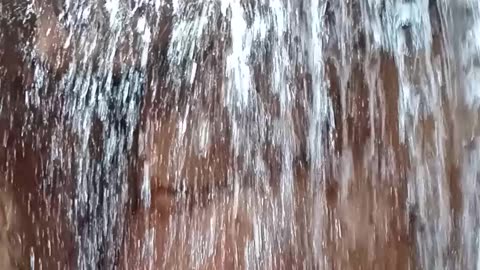 الماء العذب