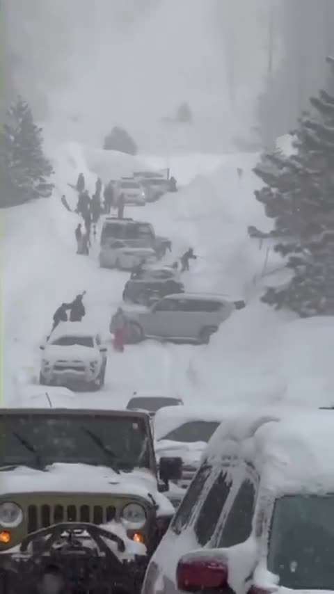 It’s absolute madness in Tahoe right now.