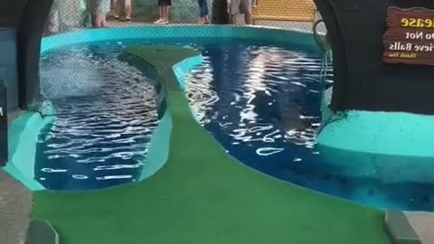 If you make this “impossible” putt, you can play for free for life