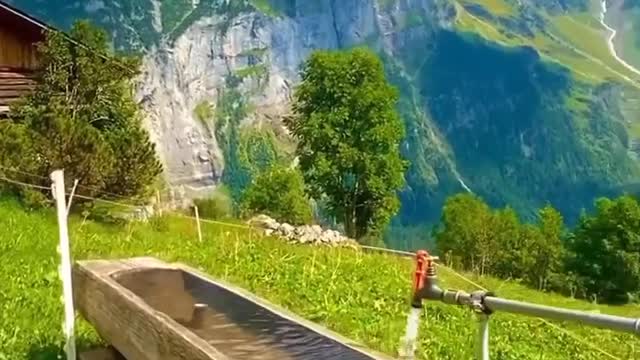 Do you like the scenery here