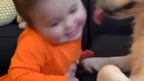 Funny Babies and Animals Video, Adorable Baby and Animals