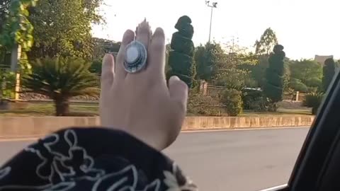 Beautiful hand video