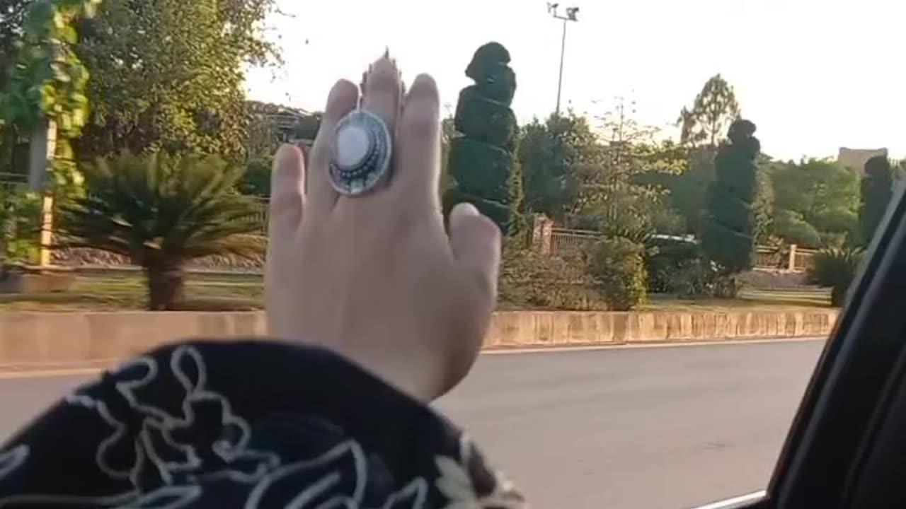 Beautiful hand video