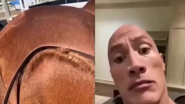 The Rock #satisfying