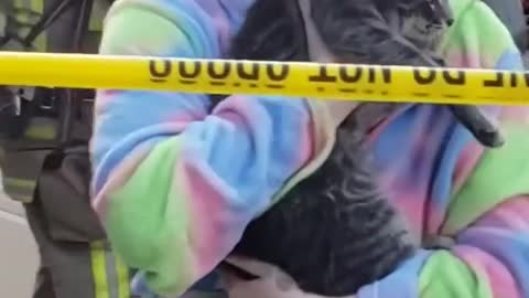 Firefighters Rescue Cat From Burning Buildings