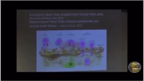 Nanotechnology_ DR. CHARLES MORGAN ON NEUROBIOLOGY AND WAR MWI Staff