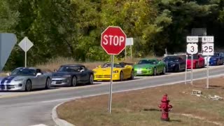 Dodge Viper Rally! So many cool colors!