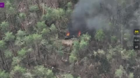 Shelling Russians in the Forest