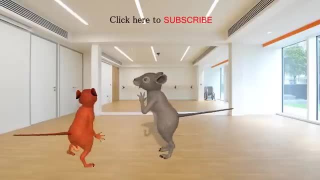 Rat Dance