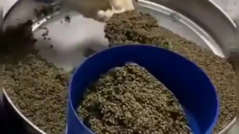 This is a beautiful and charming water-dwelling species