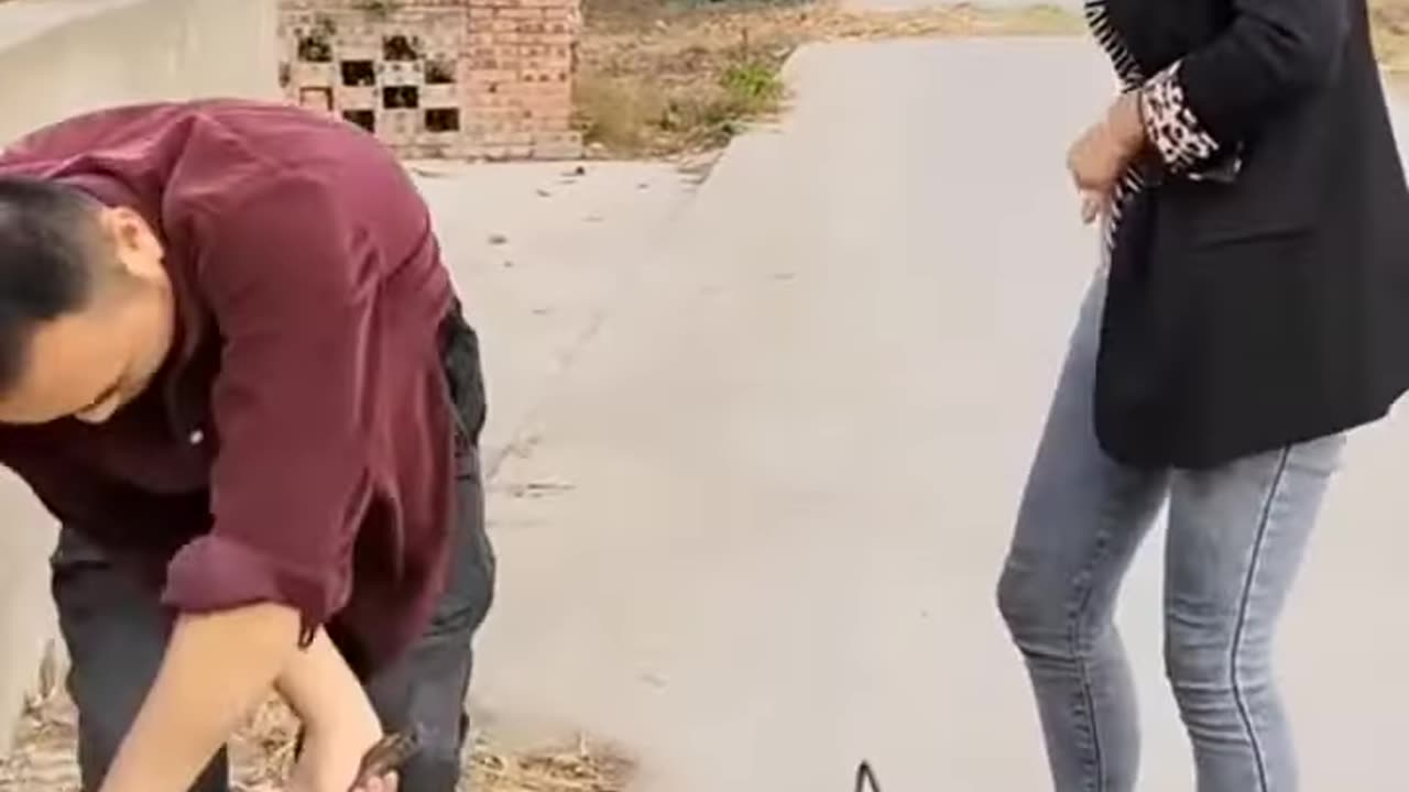 FUNNY VIDEOS// TIKTOK VIDEOS// INSTAGRAM