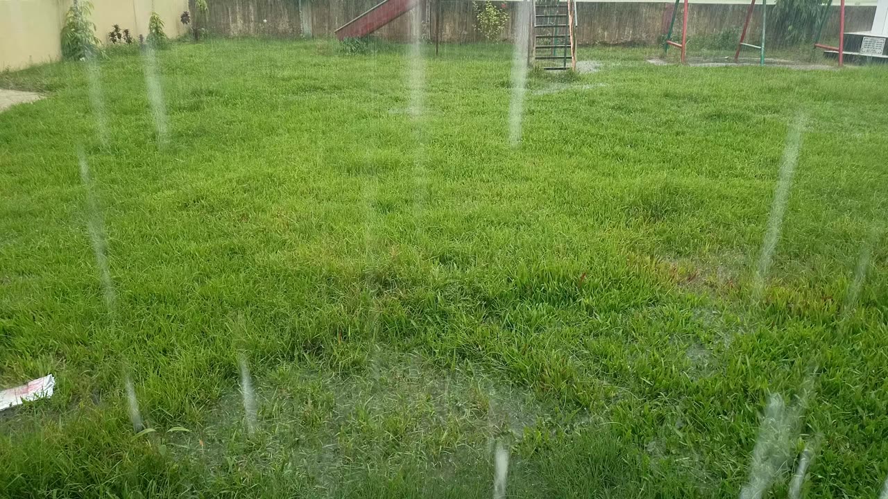 Rainy Day 🌧️