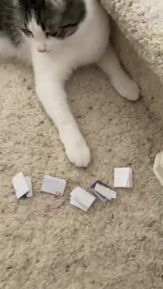 Birthday Drawing Giveaway - part 2