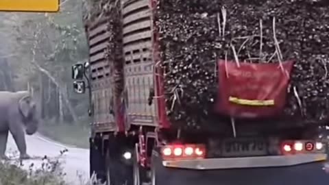 #funny