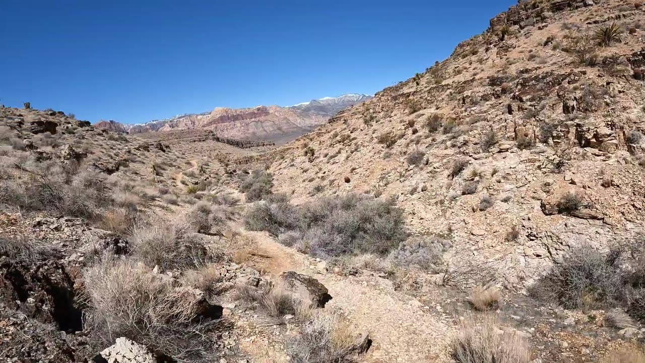 Boldfoot Team prepares for Leadville via Cowboy Trails