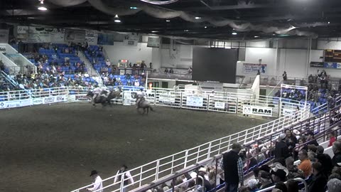 Rodeo buck riding