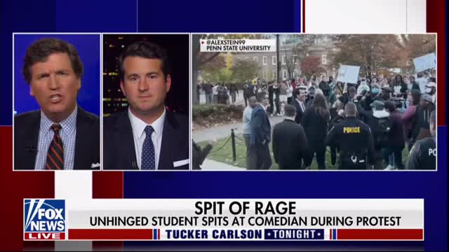 Alex Stein on Tucker Carlson Tonight