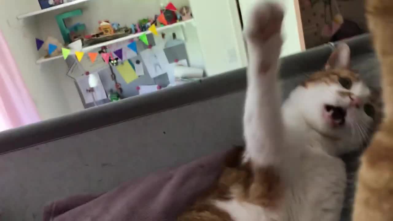 Wait for it
