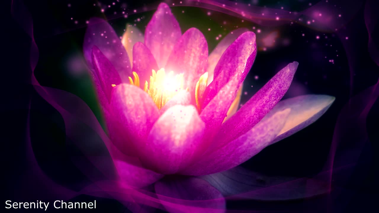 💜 Serenity Zen - 44:44 min - Relaxing Meditation Music 💜