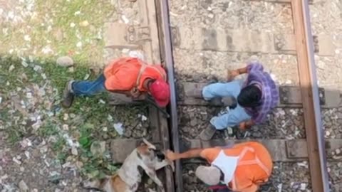 How to get the kids to the house 🏡🏡🏡🏠 to be there