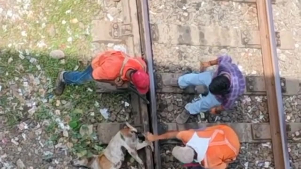 How to get the kids to the house 🏡🏡🏡🏠 to be there