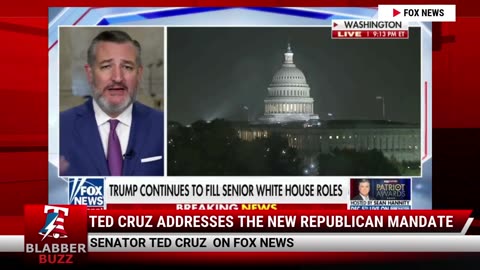 Ted Cruz Addresses The New Republican Mandate