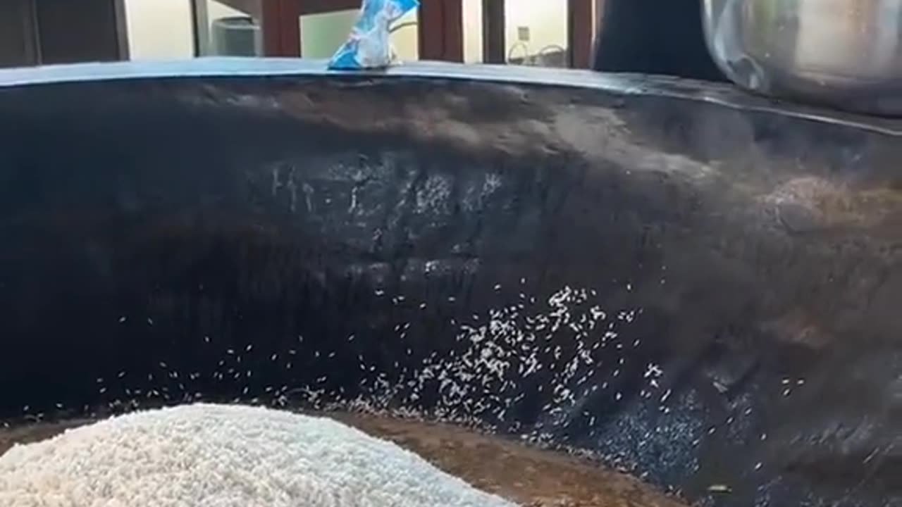 Amazing street food video