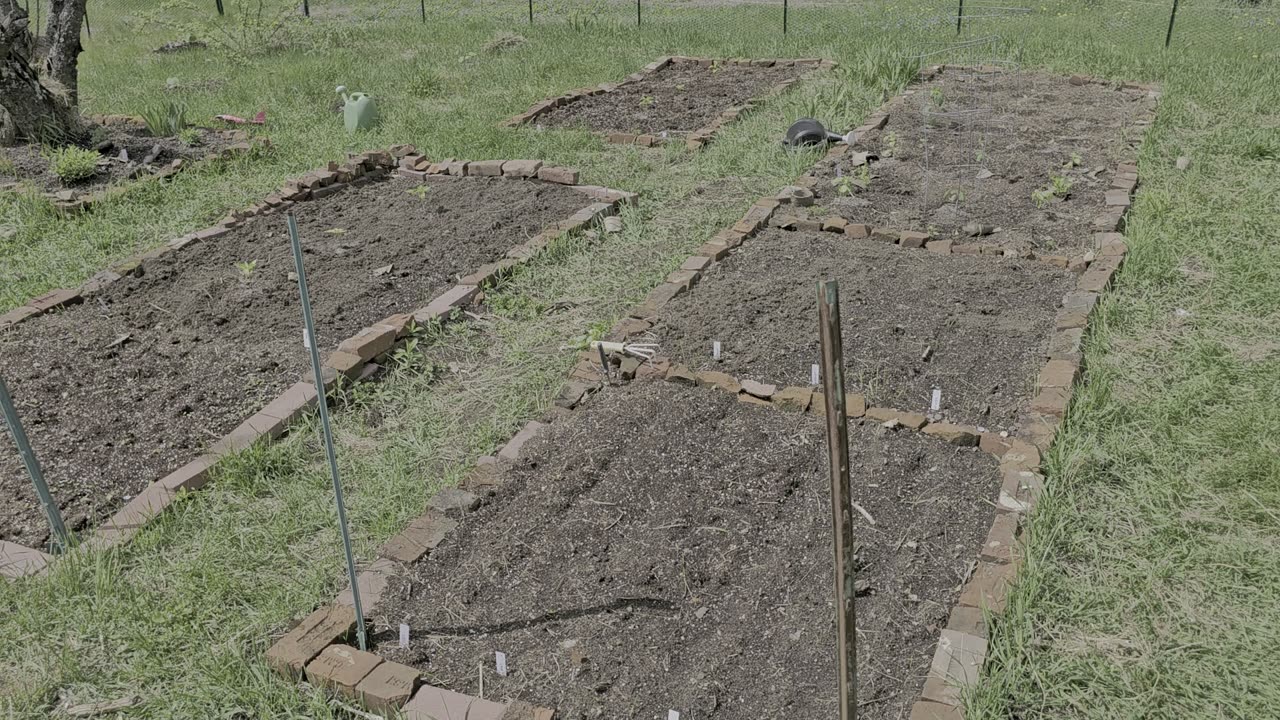 Styxhexenhammer Garden Update 5/10/2024