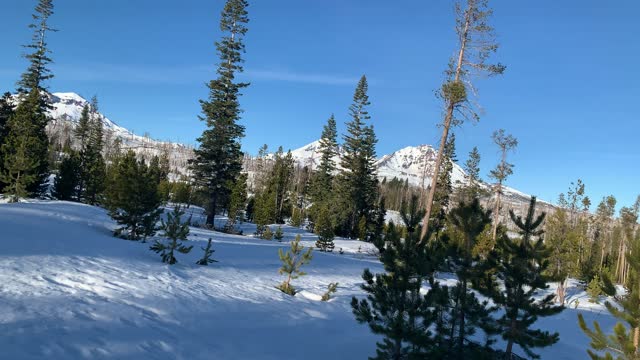 Narrow Pine Passageway – Upper Three Creek Lake Sno-Park – Central Oregon – 4K