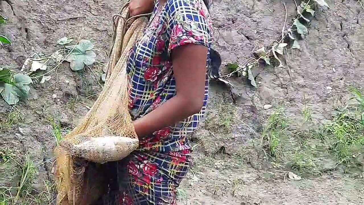 Amazing Village Women Net Fishing