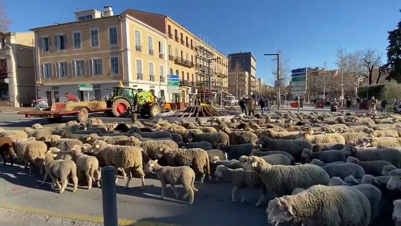 ⚠️ FRANCIA - Protestano anche loro Minacciano di non fare più latte 🤔❗️