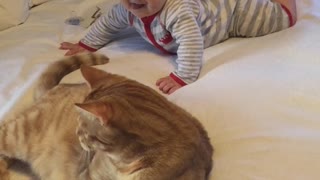 Baby can't stop laughing at playful cat